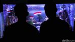Kemeriahan Sea World Ancol Jelang HUT RI