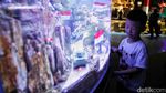 Kemeriahan Sea World Ancol Jelang HUT RI