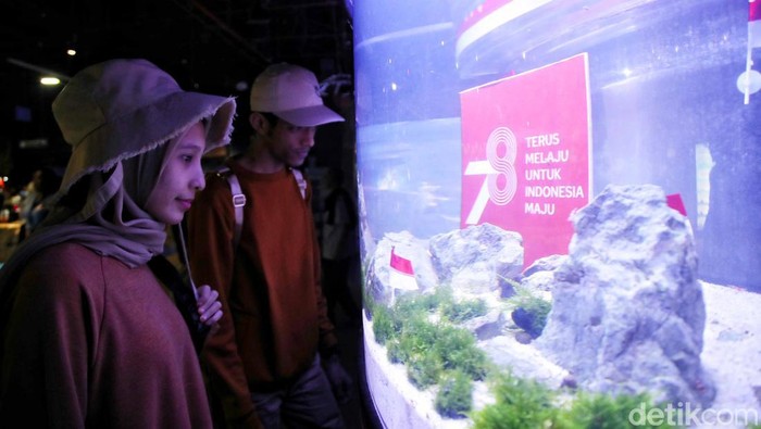 Kemeriahan Sea World Ancol Jelang HUT RI