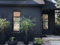 Rumah-Kendaraan di Negara Ini Diharamkan Pakai Warna Hitam, Kenapa Ya?