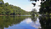 Situ Gede Bogor. Berlokasi di Jl. Cilubang Malang No.37, Bogor Barat, Kota Bogor. Destinasi ini cocok bagi detikers yang ingin healing sambil menikmati keindahan alam. Spot wisata ini bisa dikunjungi tiap saat, namun bagi yang ingin menikmati fasilitas di sekitar danau sebaiknya tidak datang terlalu pagi atau sore. Foto: disparbud.kotabogor.go.id