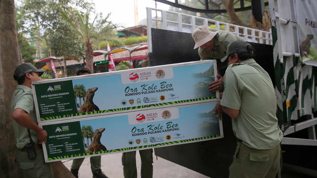 Taman Safari lepasliarkan 6 ekor komodo