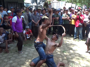 Keseruan Tradisi Ojung, Ajang Warga Lereng Semeru Minta Hujan