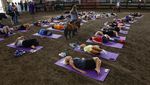 Keseruan Warga AS Ikut Kelas Yoga di Kandang Kuda