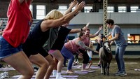 Sejumlah peserta mengikuti kelas yoga di Paviliun Ternak di Iowa State Fair di Des Moines, Iowa, Amerika Serikat, Minggu (13/8/2023).  
