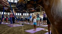 Iowa State Fair merupakan salah satu pameran pertanian dan industri tertua dan terbesar di negara bagian Iowa.  
