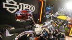 2 Moge Baru Harley Rilis di Indonesia, Lebih Mahal dari Pajero