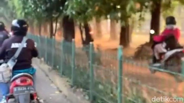 Aksi sejumlah pemotor ini tidak pantas ditiru. Mereka melaju di taman tepi Jalan Lenteng Agung, Jakarta Selatan (Jaksel), untuk menghindari macet. (dok Pribadi/Dian M)