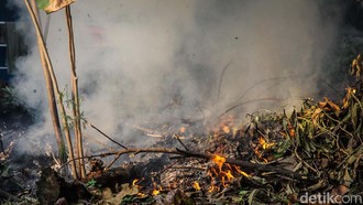 Ketua RT di Pamulang Tangsel Jadi Tersangka Usai Tegur Warga Bakar Sampah