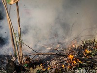 Ketua RT di Pamulang Tangsel Jadi Tersangka Usai Aniaya Warga Bakar Sampah