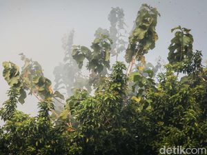 Polusi di Serpong Sepanjang Agustus Menggila, Setara 117 Batang Rokok