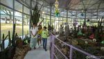 Berkunjung ke Desa Seni Ganara di TMII