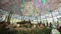 Taman kaktus yang memiliki ragam jenis kaktus kini dipercantik dengan hiasan-hiasan. 