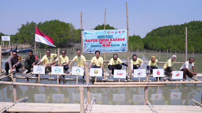 Brantas Abipraya dan BUMN lainnya melakukan penanaman bibit mangrove di Demak.