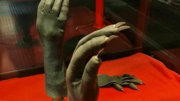 Sarung Tangan Bela Diri Untuk Wanita Di London sekitar 1850. Foto: Instagram/gotweird