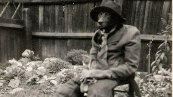 Seekor Anjing Mengenakan Jas Dengan Anak Kucing Di Pangkuannya, Foto: Instagram/gotweird