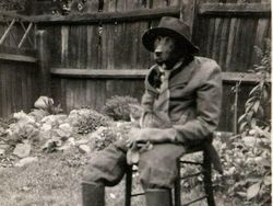 Deretan Foto Jadul Bikin Tercengang hingga Ngeri