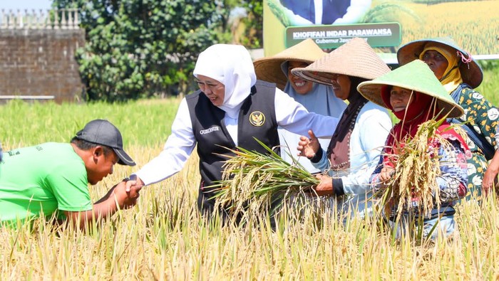 Gubernur Jawa Timur (Jatim) Khofifah Indar Parawansa dianugerahi penghargaan Adhikarya Nararya Pembangunan Pertanian dari Kementerian Pertanian RI.