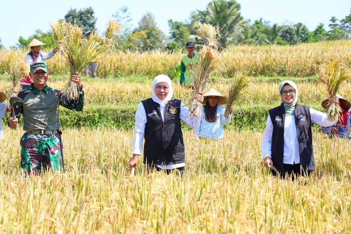 Gubernur Jawa Timur (Jatim) Khofifah Indar Parawansa dianugerahi penghargaan Adhikarya Nararya Pembangunan Pertanian dari Kementerian Pertanian RI.