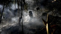 Menurut petugas pemadam kebakaran Soacha, setidaknya 60 hektar lahan pertanian hancur.  