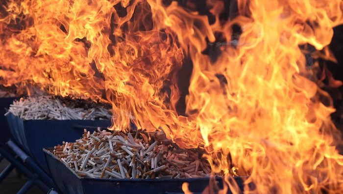 Petugas memusnahkan rokok ilegal hasil penindakan di bidang kepabeanan dan cukai periode Januari hingga Juni 2023 yang telah ditetapkan menjadi Barang Milik Negara (BMN) di Kantor Wilayah DJBC Bali, NTB dan NTT, Badung, Bali, Selasa (15/8/2023). Kantor Wilayah Direktorat Jenderal Bea dan Cukai Bali, Nusa Tenggara Barat dan Nusa Tenggara Timur berkolaborasi dengan Kantor Pengawasan dan Pelayanan Bea dan Cukai (KPPBC) Tipe Madya Pabean (TMP) Ngurah Rai dan Kantor Pengawasan dan Pelayanan Bea dan Cukai (KPPBC) Tipe Madya Pabean (TMP) A Denpasar melakukan pemusnahan atas Barang Milik Negara (BMN) bernilai Rp3,4 miliar dengan perkiraan kerugian negara sebesar Rp3,3 miliar. ANTARA FOTO/Nyoman Hendra Wibowo/foc.