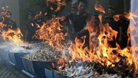 Petugas memusnahkan rokok ilegal hasil penindakan di bidang kepabeanan dan cukai periode Januari hingga Juni 2023 yang telah ditetapkan menjadi Barang Milik Negara (BMN) di Kantor Wilayah DJBC Bali, NTB dan NTT, Badung, Bali, Selasa (15/8/2023).  