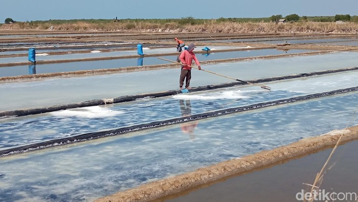Petani garam di Desa Rawaurip, Kecamatan Pangenan, Kabupaten Cirebon