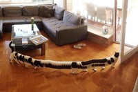 Potret Kucing Dalam Mode Panorama, Bikin Ngakak