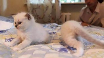 Terbelah dua badannya. (Foto: sadanduseless)