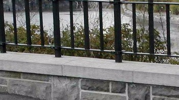 Burung bentuk kucing? (Foto: sadanduseless)  