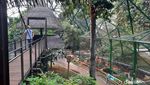 Mengintip Wajah Baru Taman Burung TMII yang Resmi Dibuka Hari Ini