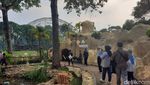 Mengintip Wajah Baru Taman Burung TMII yang Resmi Dibuka Hari Ini