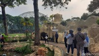 Taman Burung Jagat Satwa Nusantara buka setiap hari dari mulai pukul 09.00 – 17.00 WIB di hari Senin hingga Jumat dan pukul 09.00 – 18.00 WIB saat akhir pekan dan hari Libur Nasional. Foto: Putu Intan/detikcom