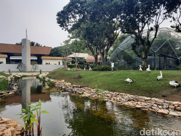 Taman Burung Jagad Nusantara