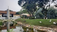 Kemudian ada juga Raptor Free Flight Experience, yaitu pengunjung dapat merasakan pengalaman luar biasa dengan burung elang terbang dengan indah dari jarak sekitar 60 meter di atas sungai buatan yang akan mendarat dengan anggun di tangan pengunjung. Foto: Putu Intan/detikcom