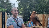 Selain itu, kali ini pengunjung dapat berinteraksi dengan burung dengan pantauan zoo keeper.Foto: Putu Intan/detikcom