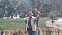 Selain itu dari segi faslitas terdapat juga Amphitheatre Maleo. Di sini engunjung dapat menyaksikan atraksi sekaligus media edukasi, Bird Show. Foto: Putu Intan/detikcom