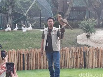 Seusai Direvitalisasi, Jagat Satwa Nusantara Banyak Diminati Pengunjung