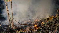 Faktor yang memicu buruknya kualitas udara di Tangsel juga dipicu dari asap pembakaran sampah. (Foto: Andhika Prasetia/detikcom)