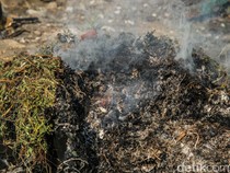 Bakar Sampah Sampai Ganggu Tetangga, Begini Hukumnya dalam Islam