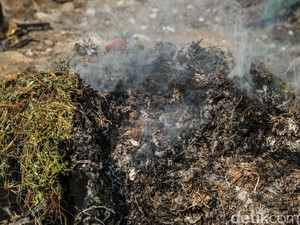 Bakar Sampah Sampai Ganggu Tetangga, Begini Hukumnya dalam Islam