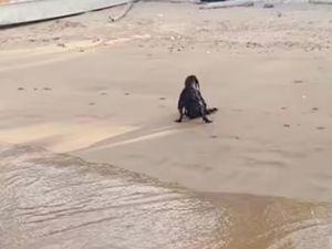 Viral Penampakan Setan Hitam Ini Ternyata Ujungnya Bikin Ngakak