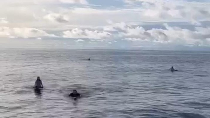 WN Australia yang hilang kontak di perairan Aceh Singkil ditemukan selamat terombang-ambing di tengah laut pakai papak selancar. (Foto: Istimewa)