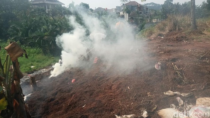 Asap limbah cabai yang dibakar di Tangsel