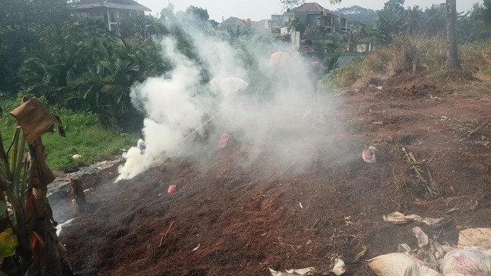 Asap limbah cabai yang dibakar di Tangsel