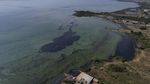Danau Terbesar di Amerika Latin Tercemar Parah, Begini Kondisinya