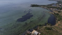 Danau Maracaibo merupakan salah satu danau terbesar di Amerika Latin.  