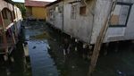 Danau Terbesar di Amerika Latin Tercemar Parah, Begini Kondisinya