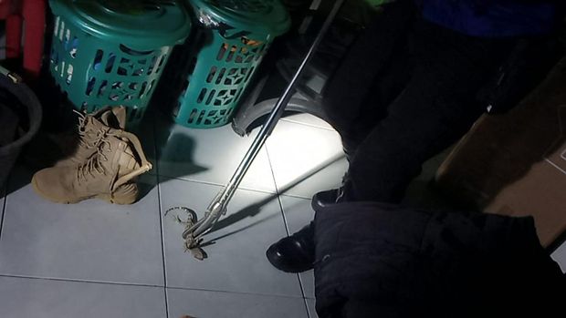 Evakuasi tokek di rumah Cecep.