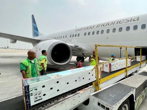 Garuda Indonesia Tambah hingga 100 Armada di 2025, Merugi di 2024